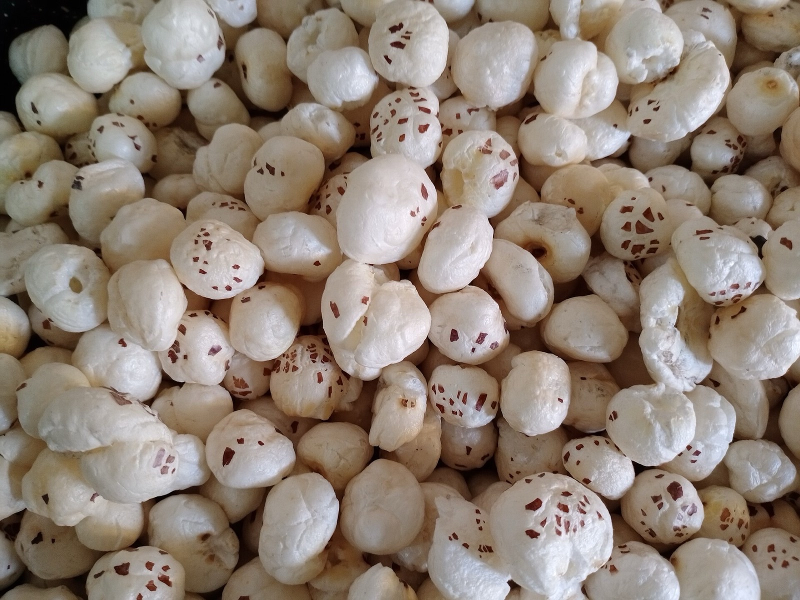 Mithila makhana, fox nuts grown in Bihar