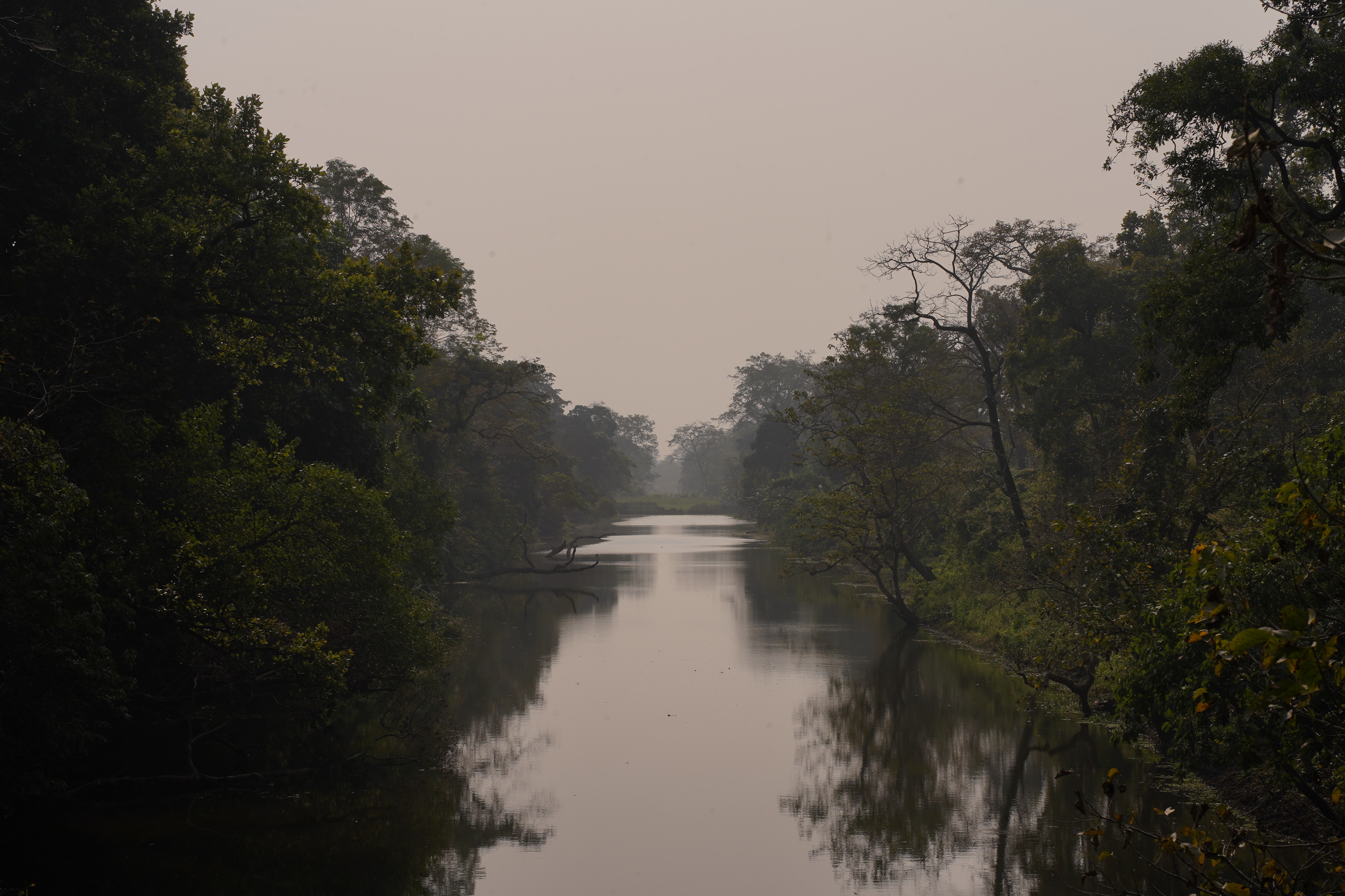 Forest and water at Valmiki